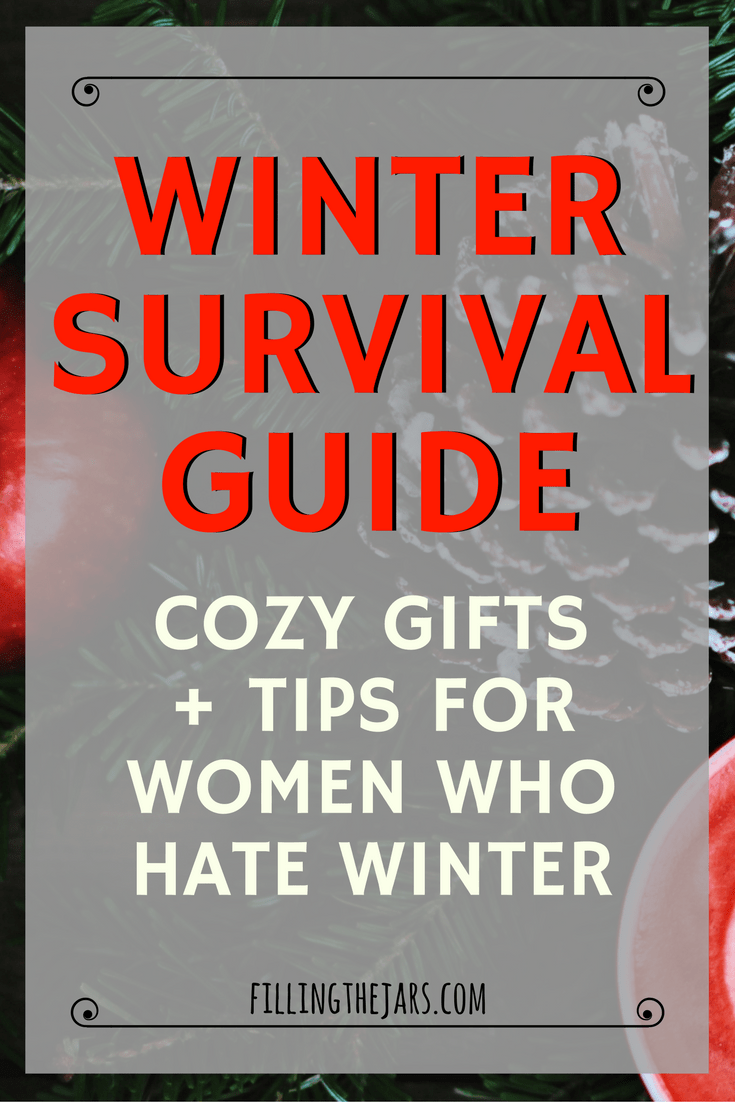 Pinterest image with text 'Winter Survival Guide Cozy Gifts + Practical Tips for Women Who Hate Winter' on sheer gray background.