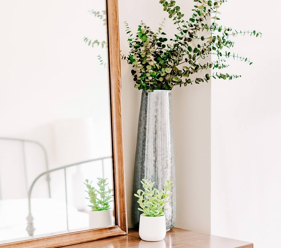 plants in vases next to mirror on dresser in clutter-free white bedroom