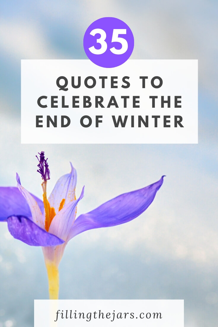 purple crocus on snowy background with text overlay 35 last day of winter quotes