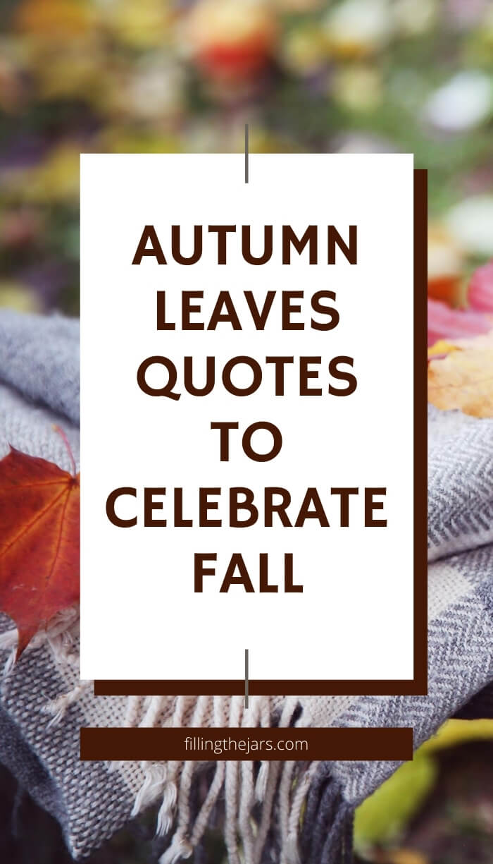 fall scene with cozy blanket and red leaves with white overlay and text autumn leaves quotes