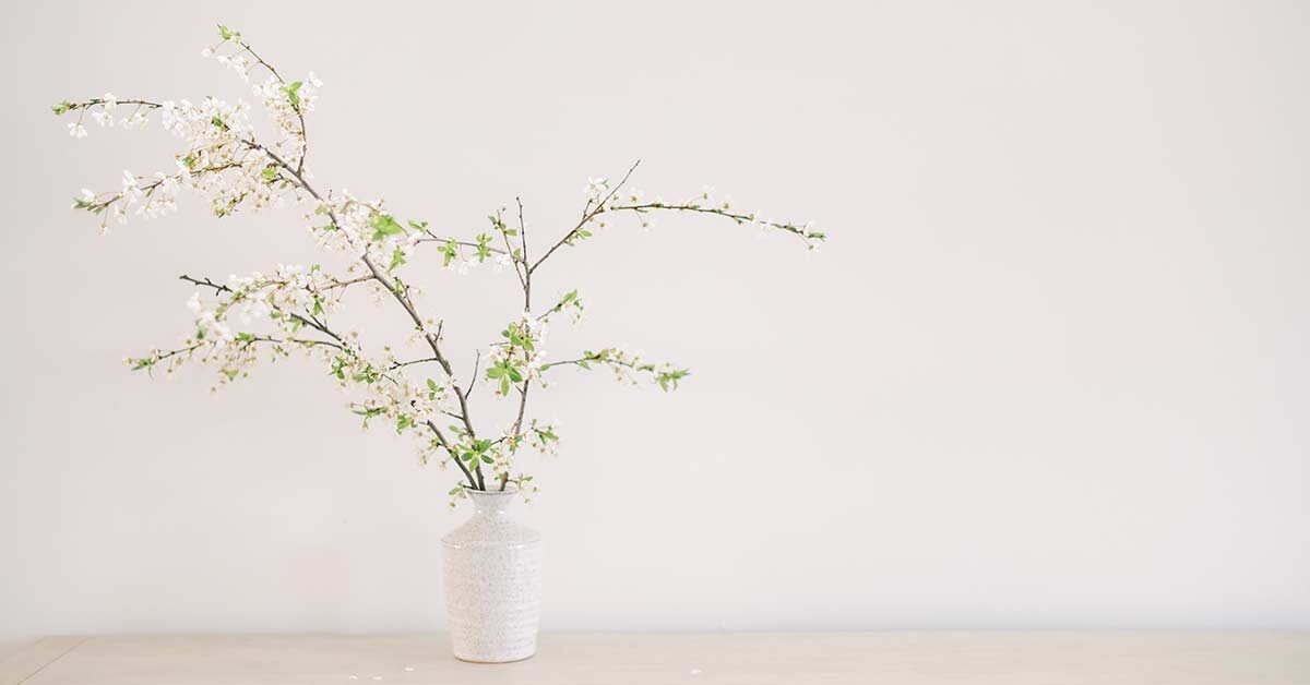 blooming tree branches in white vase on clutter-free wood table