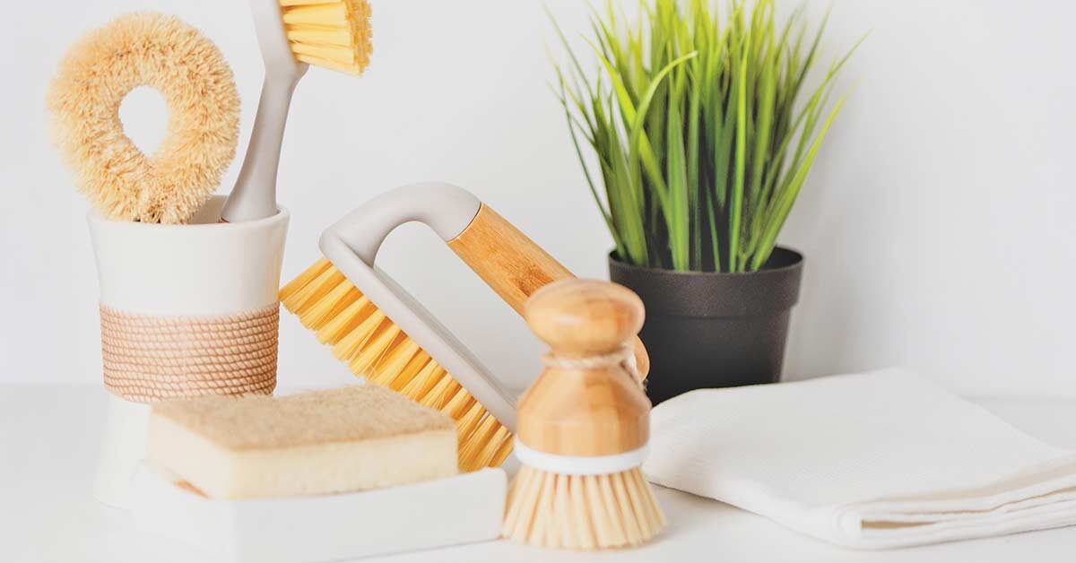 Cleaning sponges and brushes with natural accents and small green plant on white counter.