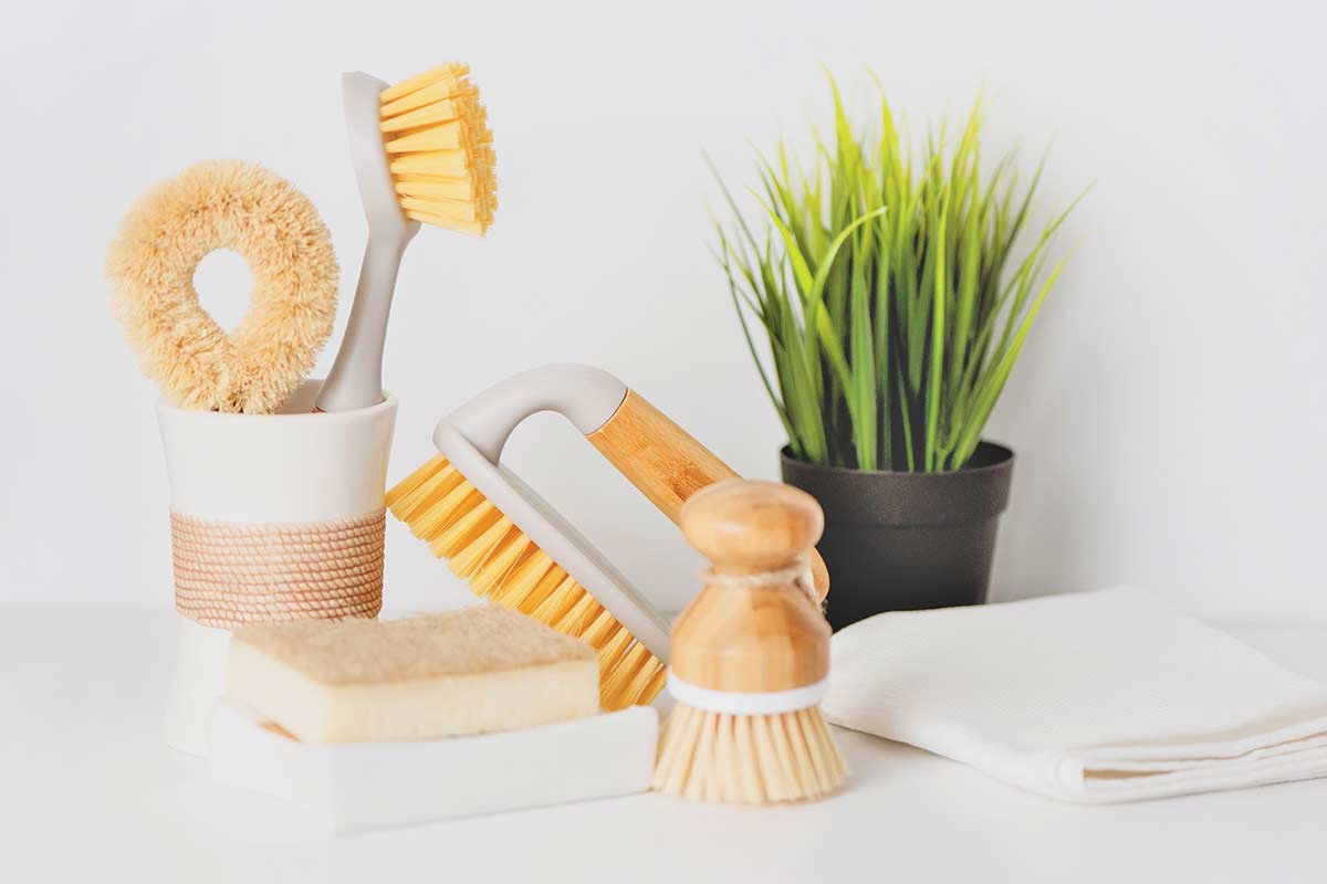 Cleaning sponges and brushes with natural accents and small green plant on white counter.