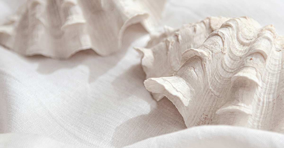 Seashells on white linen cloth arrangement to inspire a summer slow down.