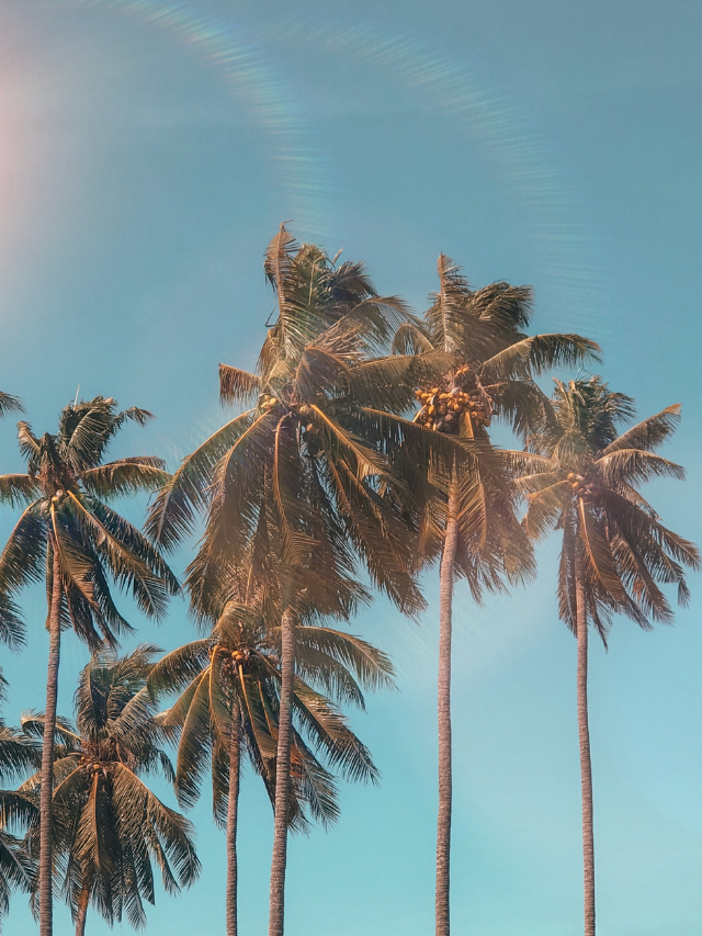 Productive Things To Do Over the Summer: Make Your Goals a Reality Story
