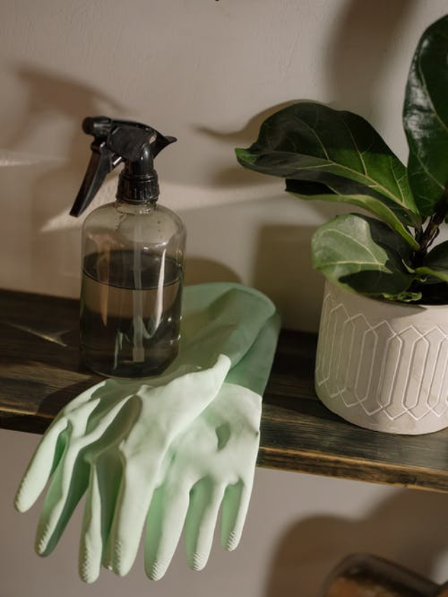 Motivational Quotes For Cleaning: 20 Positive Clean Home Sayings Story