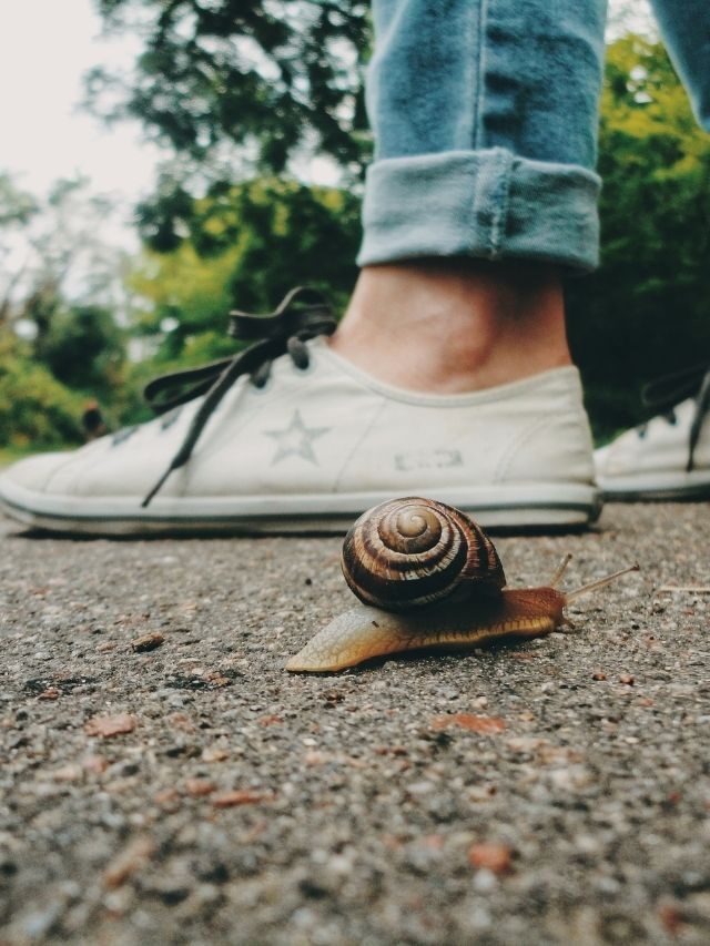12 Slow Down And Breathe Quotes For Your Busy Mind Story