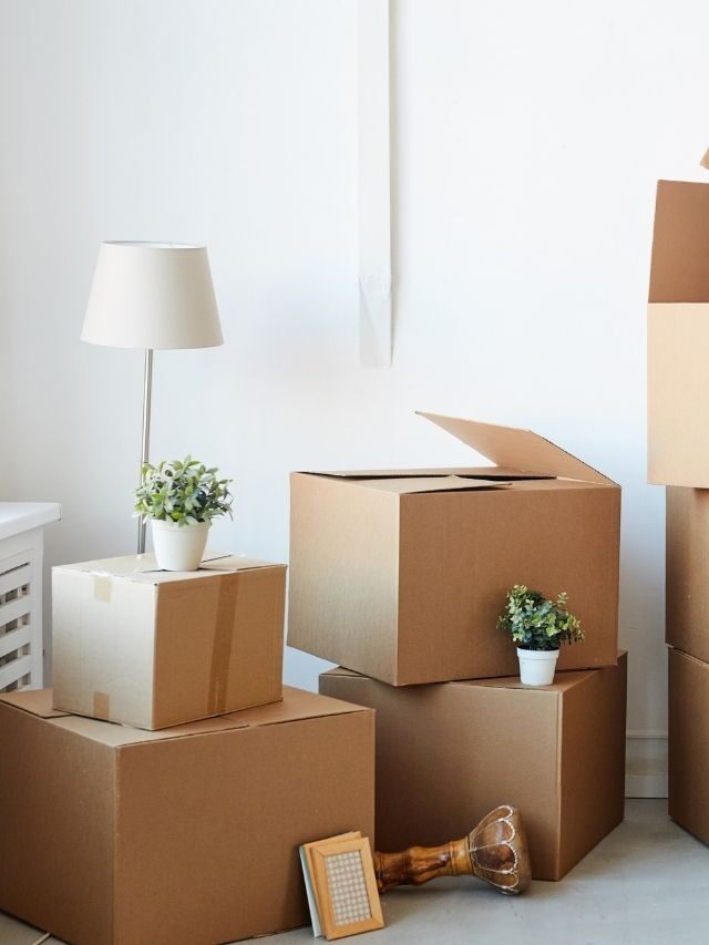 Tips To Declutter In A Weekend: How To Accomplish The Improbable Story