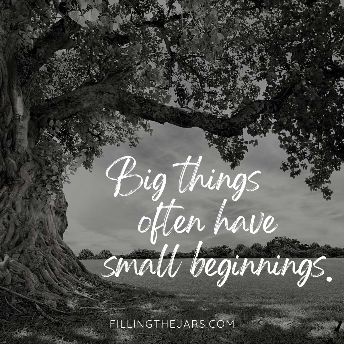 Big things often have small beginnings quote in white script text on black and white background of giant tree in field.