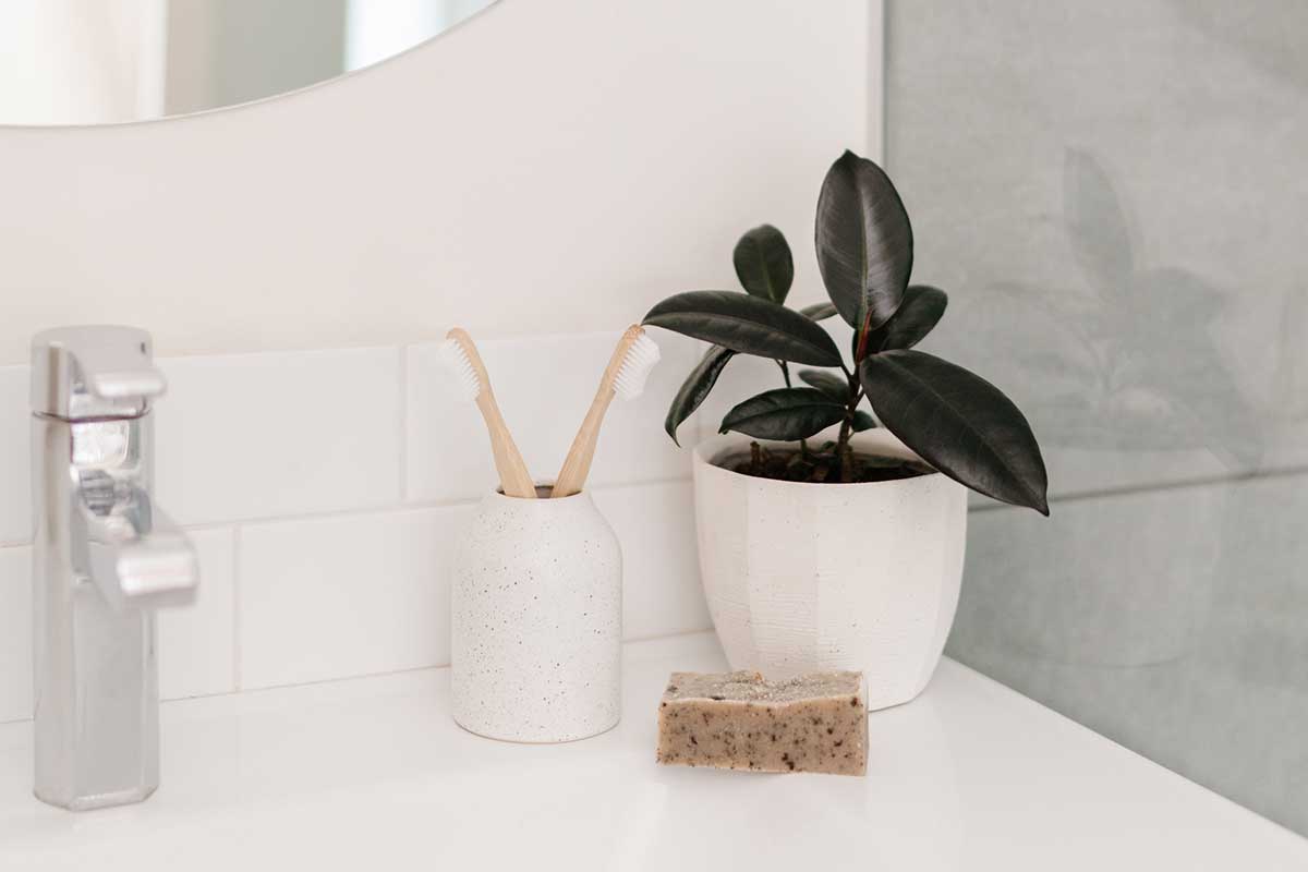 Plant and toothbrush holder and soap on counter in clean bathroom.