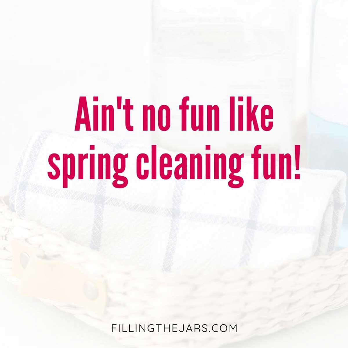 No fun like spring cleaning quote in pink text on light background.
