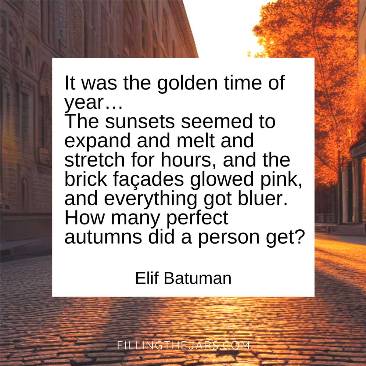 Elif Batuman golden time sunset quote on white background over golden city sunset scene.