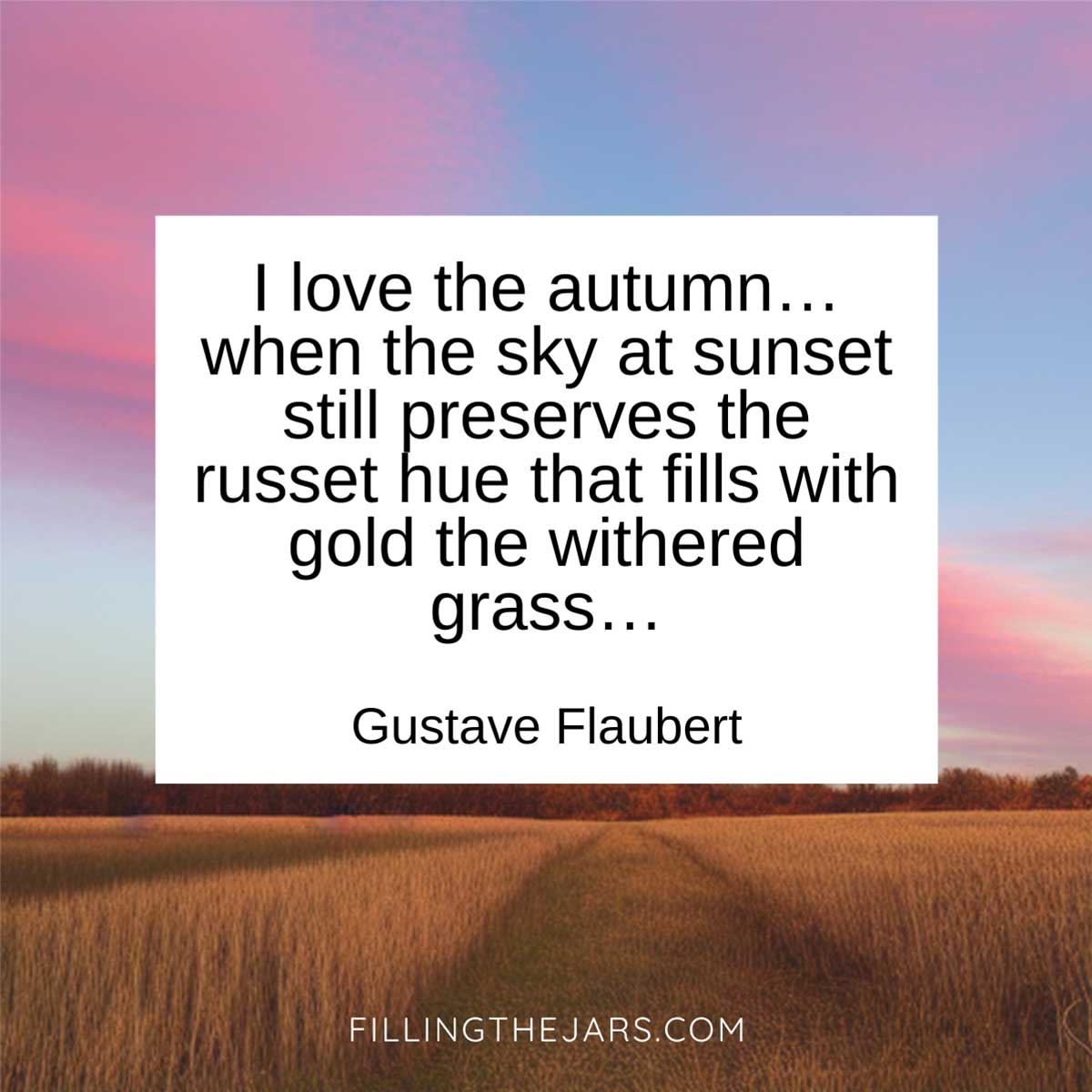 Gustave Flaubert russet hue autumn sunset quote on white background over pink cloud sunset and open grass field.