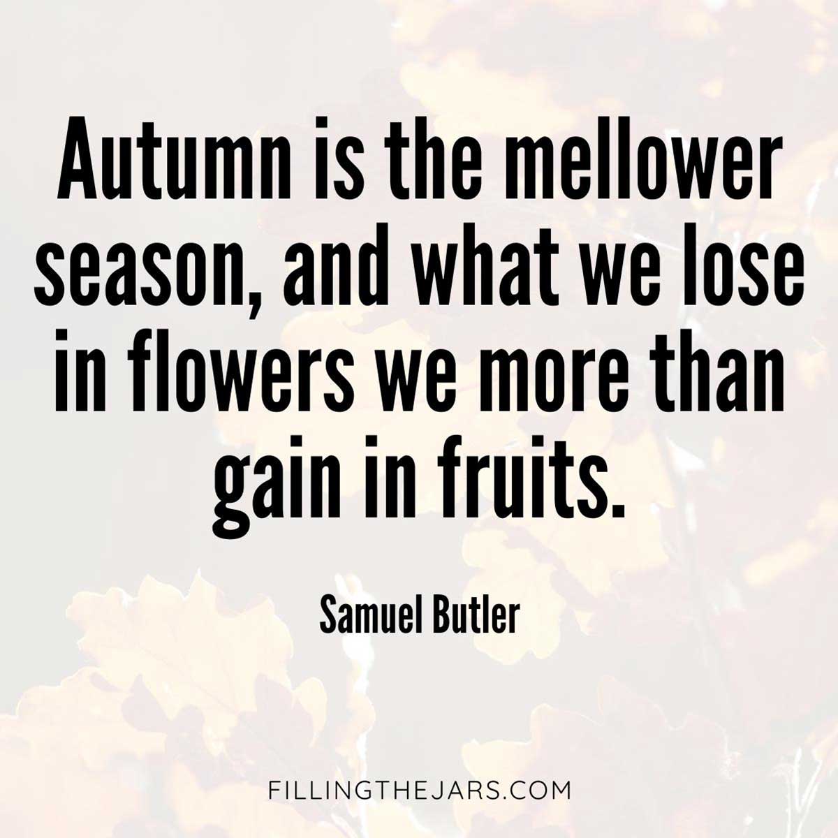 Samuel Butler mellower season quote in black text on faded background of autumn leaves.