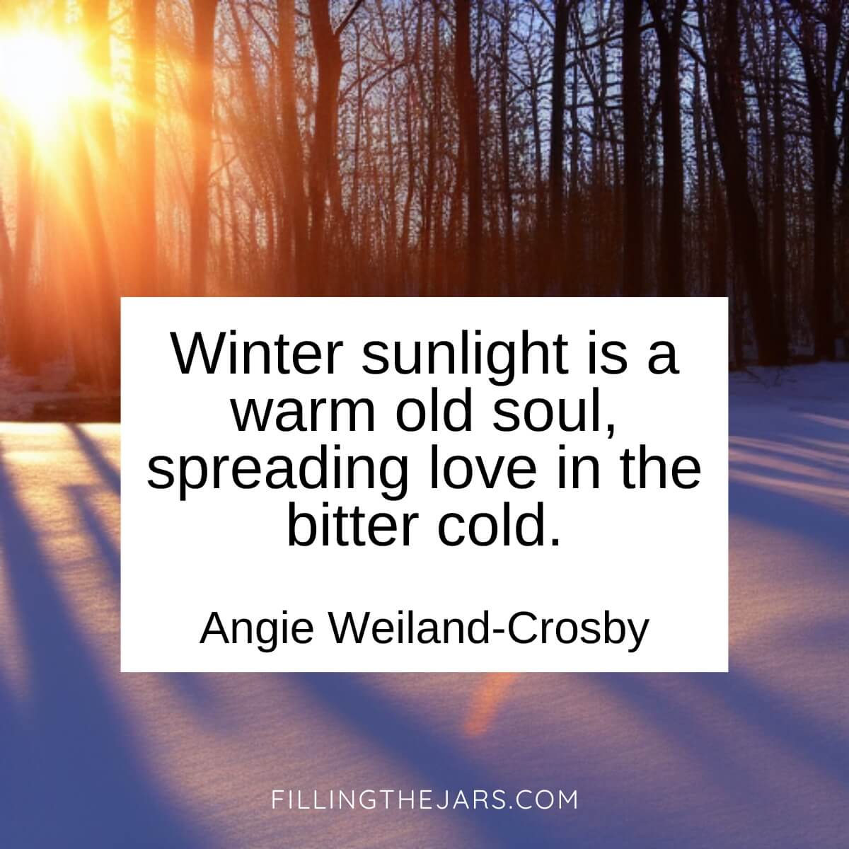 Angie Weiland-Crosby winter sunlight quote in black text on white background over outdoor scene of late-day winter sun shining through bare tree branches.