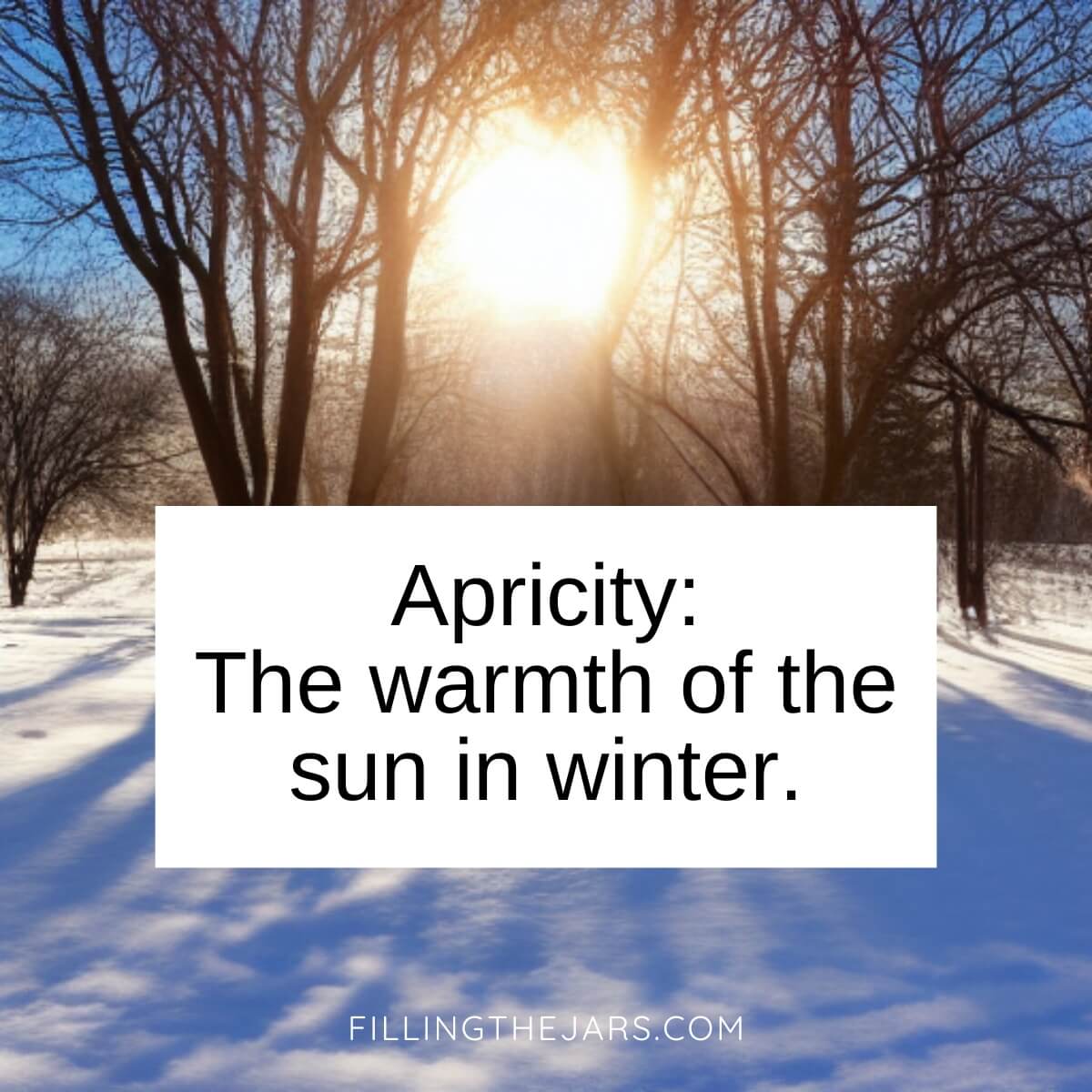 Apricity definition in black text on white background over outdoor scene of bright sun shining through bare tree branches.