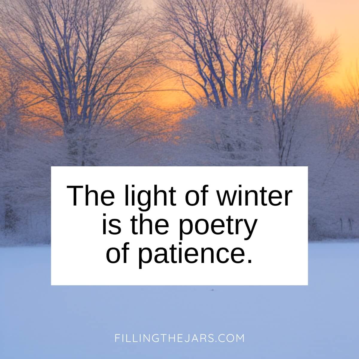 Light of winter quote in black text over outdoor scene of orange winter sky behind trees.