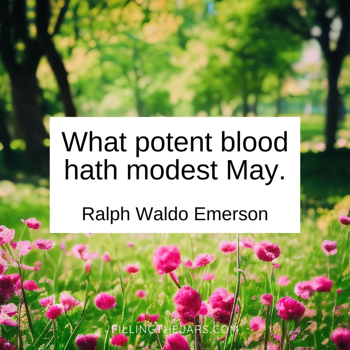 Ralph Waldo Emerson May quote in black text on white square over background of pink wildflowers with trees behind them.