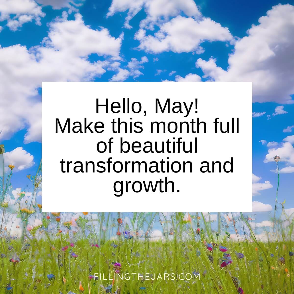 Hello May greeting in black text on white square over background of wildflowers and blue sky with puffy clouds.