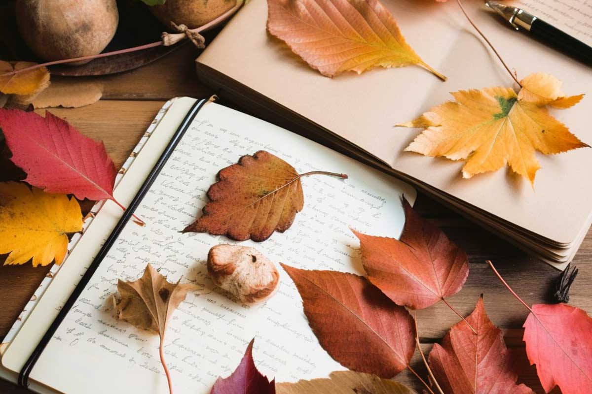 Open journals and colorful autumn leaves.